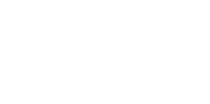 Logo Phils Aviation